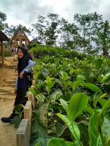 Iin Nurch
