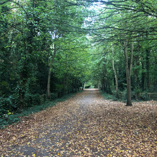 Audible Reader ~ ChocolateGirl  Reads