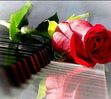 Rasha