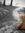 Carter Ray | 4 comments