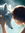 boopfox