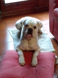 Marco75