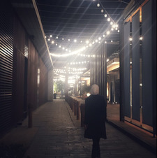 أمينة الشهاب