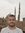 Mohamed...