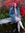 Samantha (httpswwwgoodreadscomnovelsandnon) | 2 comments