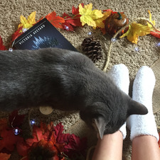 Maddie (bibliophilebindings)