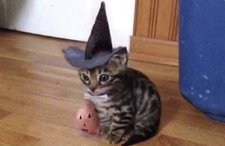 მირაჟი მესამე