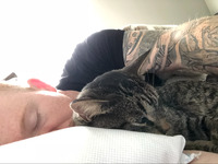 Kyle Abrams (abramskyle) - Danville, KY (698 books)