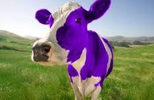 Moo