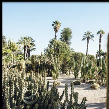 Christopher Robinson