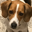 Mason