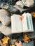 Booksinverse