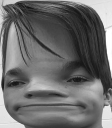 Levi