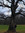 Norris (northeast111111) | 1 comments