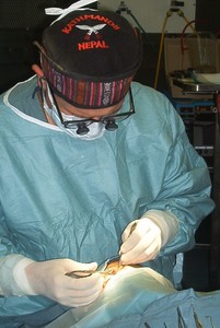 Robert Enzenauer