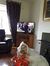 amy reddy