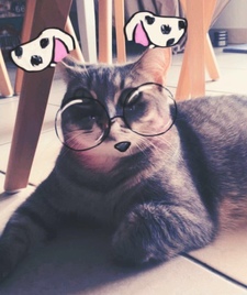 Les lectures de Mr Lulu