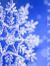 Ice star