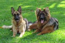 Krista Robideaux schultz