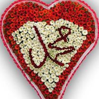 محمد العالم