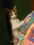 Zeynep ...