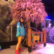 Thu Hien