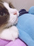 Tess
