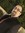 Mehrbod Shamss | 7 comments