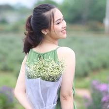 Phạm Tình