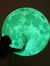 Moonglow