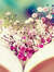 Mariam