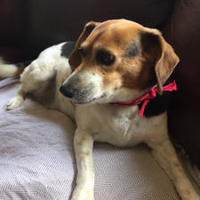 Esther