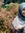 Nurul (nurulpujipratiwi)