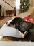 Lainie ...