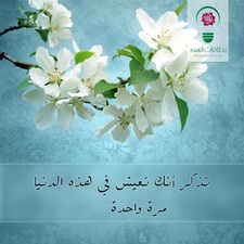 Huda  lutfi Ahmad 