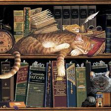 Book Nook Kitten
