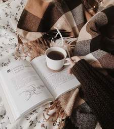 زهرة الخريف