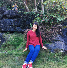 Hương Đàm