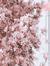 ηίɕσʆε🌷