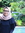 Lala Yusuf