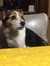 Maggie