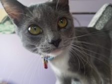 Christopher Gutierrez