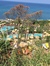 Kingston Westmoreland