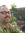 Rob Berry | 2 comments