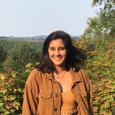 Afshin Valani