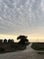 Dawn