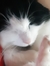Mizu