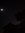 Moonlight