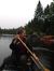Lauren ...