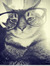 CaptainKitten2004